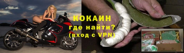 гидра Аркадак