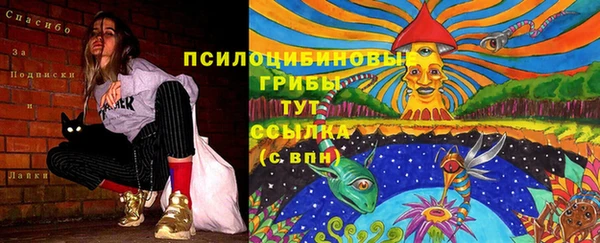 марки lsd Алзамай