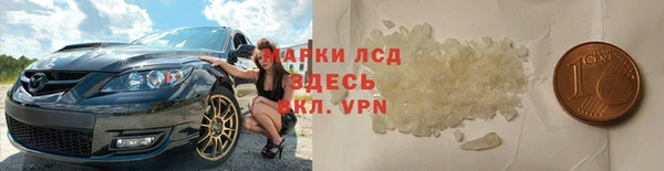 гидра Аркадак
