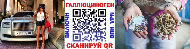 кракен ТОР  Сибай  Галлюциногенные грибы мицелий 
